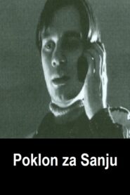 A Present for Sanja 2004 on netflix
