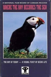 Where the Bay Becomes the Sea 1985 on netflix