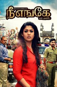 Anaamika 2014 on netflix