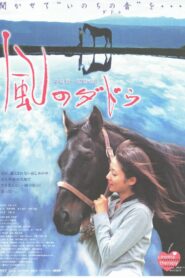 Hear the Sound of Life 2006 on netflix