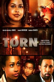 Torn 2010 on netflix