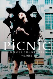 Picnic 1996 on netflix