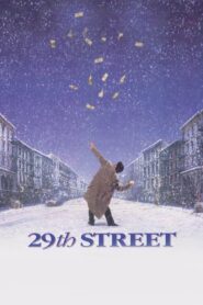 29th Street 1991 on netflix
