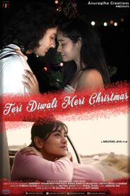 Teri Diwali Meri Christmas 2020 on netflix