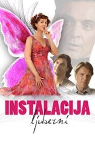 Installation of Love 2007 on netflix