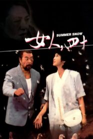 Summer Snow 1995 on netflix