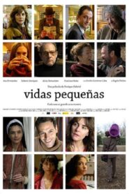 Vidas pequeñas 2011 on netflix