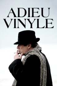 Goodbye Vinyle 2023 on netflix
