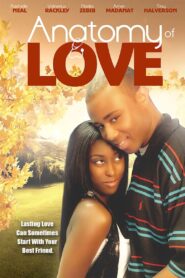 Anatomy of Love 2010 on netflix