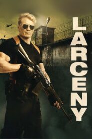 Larceny 2017 on netflix