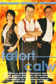 Tatort Calw – Tödliche Rache 2001 on netflix