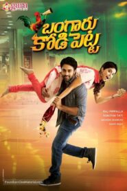Bangaru Kodipetta 2014 on netflix