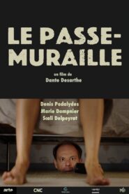 Le passe-muraille 2016 on netflix