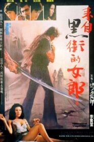 Handsome Vagabond 1982 on netflix