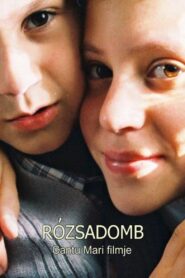 Rosehill 2003 on netflix