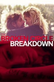 The Broken Circle Breakdown 2012 on netflix
