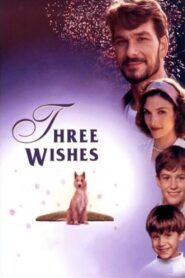 Three Wishes 1995 on netflix