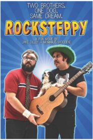 Rocksteppy 2017 on netflix