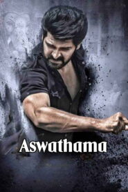 Aswathama 2020 on netflix