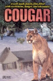 Cougar 1984 on netflix