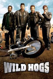 Wild Hogs 2007 on netflix