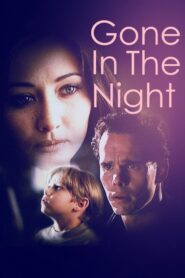 Gone in the Night 1996 on netflix