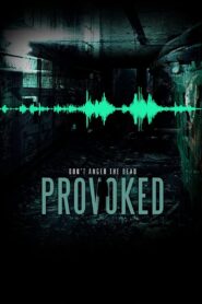 Provoked 2016 on netflix