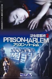 Injo Shuuyoujo 2: Prison Harlem 2010 on netflix