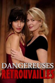 Dangereuses retrouvailles 2013 on netflix