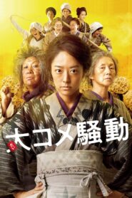 Angry Rice Wives 2021 on netflix