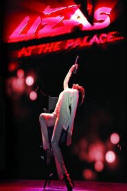 Liza Minnelli: Liza’s at The Palace 2009 on netflix