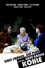 Drei Frauen, ein Plan und die ganz große Kohle 2002 on netflix