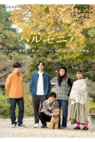 Harmonia 2024 on netflix