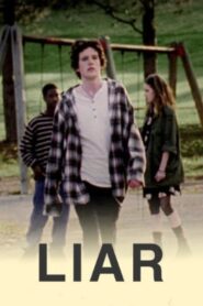 Liar 2012 on netflix