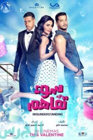 Misunderstanding 2015 on netflix