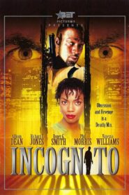 Incognito 1999 on netflix