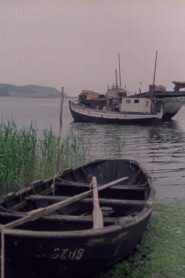 Die drei anderen Jahreszeiten 1980 on netflix