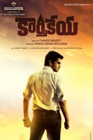 Karthikeya 2014 on netflix