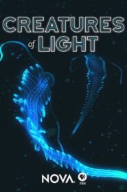 Creatures of Light 2015 on netflix