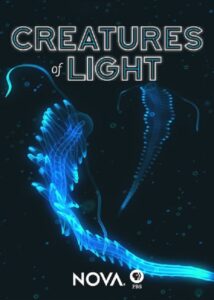 Creatures of Light 2015 on netflix