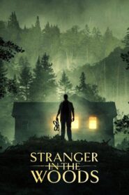 Stranger in the Woods 2024 on netflix