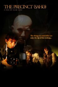 The Precinct 2010 on netflix