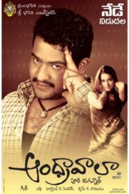 Andhrawala 2004 on netflix