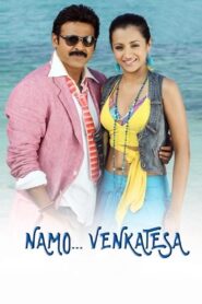 Namo Venkatesa 2010 on netflix