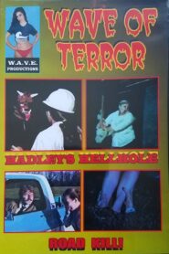 WAVE of Terror 1988 on netflix