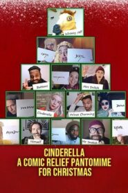 Cinderella: A Comic Relief Pantomime for Christmas 2020 on netflix