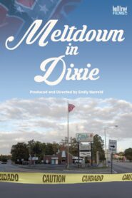 Meltdown in Dixie 2021 on netflix
