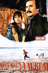 Küçüksün Yavrum 1988 on netflix