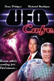 Guess Who’s Coming for Christmas? 1990 on netflix
