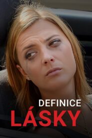 Definice lásky 2013 on netflix